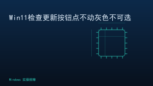 Win11检查更新按钮点不动灰色不可选
