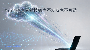 Win11检查更新按钮点不动灰色不可选